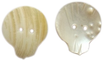 Seashell/MOP Button SM-04