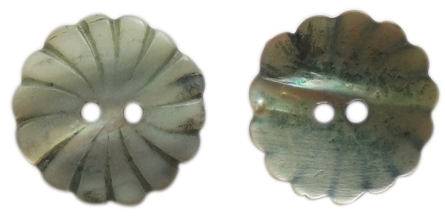 Seashell/MOP Button SM-10