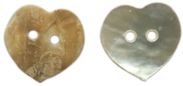 Seashell/MOP Button SM-13
