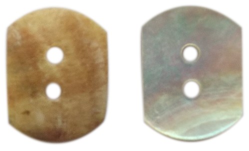 Seashell/MOP Button SM-17