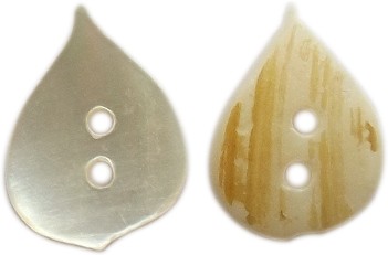 Seashell/MOP Button SM-26